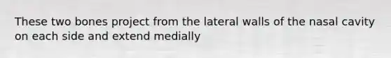 These two bones project from the lateral walls of the nasal cavity on each side and extend medially