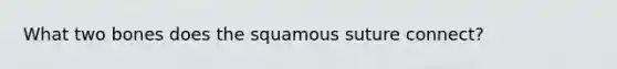 What two bones does the squamous suture connect?