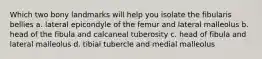 Which two bony landmarks will help you isolate the fibularis bellies a. lateral epicondyle of the femur and lateral malleolus b. head of the fibula and calcaneal tuberosity c. head of fibula and lateral malleolus d. tibial tubercle and medial malleolus