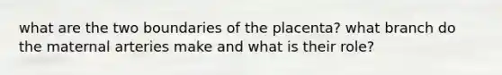 what are the two boundaries of the placenta? what branch do the maternal arteries make and what is their role?