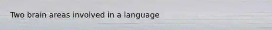 Two brain areas involved in a language