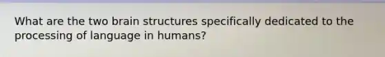 What are the two brain structures specifically dedicated to the processing of language in humans?