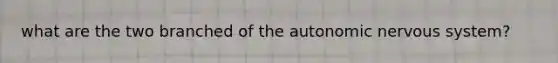 what are the two branched of the autonomic nervous system?