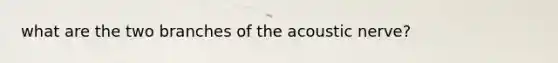 what are the two branches of the acoustic nerve?