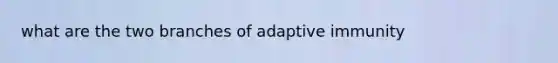 what are the two branches of adaptive immunity