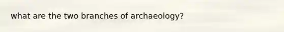 what are the two branches of archaeology?