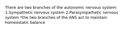 There are two branches of the autonomic nervous system: 1.Sympathetic nervous system 2.Parasympathetic nervous system *the two branches of the ANS act to maintain homeostatic balance