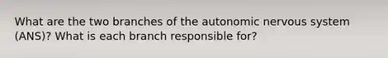 What are the two branches of the autonomic nervous system (ANS)? What is each branch responsible for?