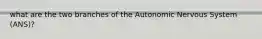 what are the two branches of the Autonomic Nervous System (ANS)?