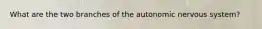 What are the two branches of the autonomic nervous system?