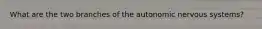 What are the two branches of the autonomic nervous systems?