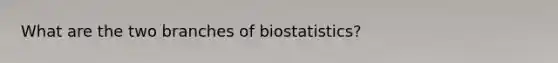 What are the two branches of biostatistics?