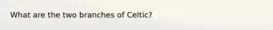 What are the two branches of Celtic?