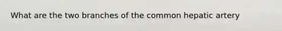 What are the two branches of the common hepatic artery