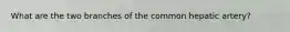 What are the two branches of the common hepatic artery?