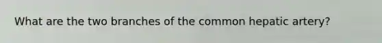 What are the two branches of the common hepatic artery?