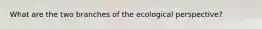 What are the two branches of the ecological perspective?