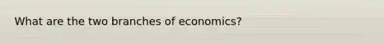 What are the two branches of economics?