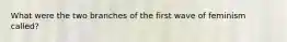 What were the two branches of the first wave of feminism called?