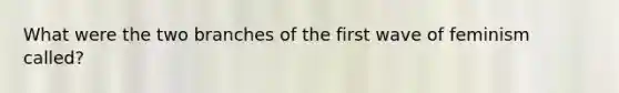 What were the two branches of the first wave of feminism called?
