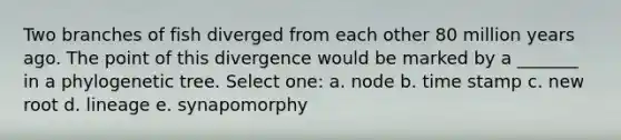 Two branches of fish diverged from each other 80 million years ago. The point of this divergence would be marked by a _______ in a phylogenetic tree. Select one: a. node b. time stamp c. new root d. lineage e. synapomorphy