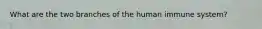 What are the two branches of the human immune system?