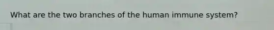 What are the two branches of the human immune system?