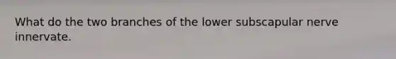What do the two branches of the lower subscapular nerve innervate.