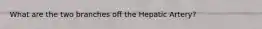 What are the two branches off the Hepatic Artery?