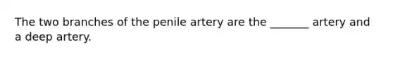 The two branches of the penile artery are the _______ artery and a deep artery.