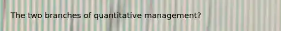 The two branches of quantitative management?