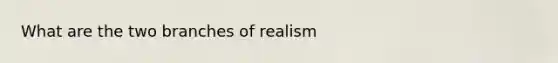 What are the two branches of realism