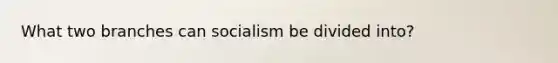 What two branches can socialism be divided into?