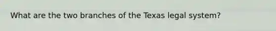 What are the two branches of the Texas legal system?