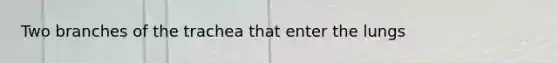 Two branches of the trachea that enter the lungs