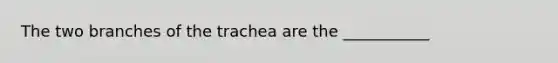 The two branches of the trachea are the ___________