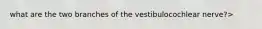 what are the two branches of the vestibulocochlear nerve?>