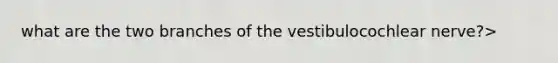 what are the two branches of the vestibulocochlear nerve?>