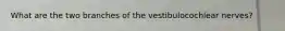 What are the two branches of the vestibulocochlear nerves?