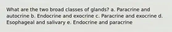 What are the two broad classes of glands? a. Paracrine and autocrine b. Endocrine and exocrine c. Paracrine and exocrine d. Esophageal and salivary e. Endocrine and paracrine