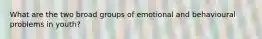 What are the two broad groups of emotional and behavioural problems in youth?