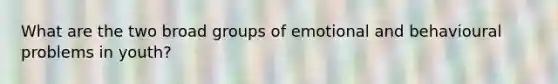 What are the two broad groups of emotional and behavioural problems in youth?