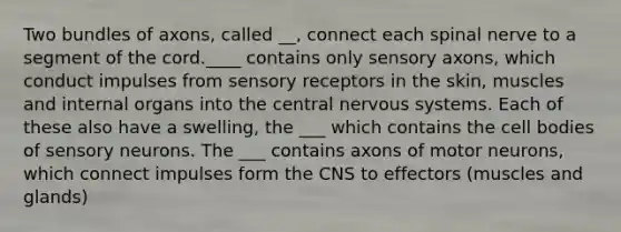 Two bundles of axons, called __, connect each spinal nerve to a segment of the cord.____ contains only sensory axons, which conduct impulses from sensory receptors in the skin, muscles and internal organs into the central nervous systems. Each of these also have a swelling, the ___ which contains the cell bodies of sensory neurons. The ___ contains axons of motor neurons, which connect impulses form the CNS to effectors (muscles and glands)