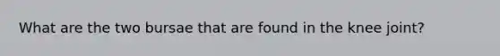 What are the two bursae that are found in the knee joint?