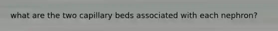 what are the two capillary beds associated with each nephron?