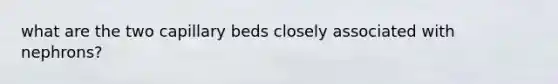 what are the two capillary beds closely associated with nephrons?