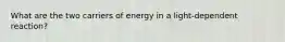 What are the two carriers of energy in a light-dependent reaction?