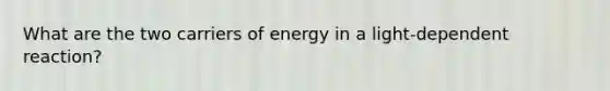 What are the two carriers of energy in a light-dependent reaction?