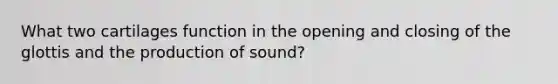 What two cartilages function in the opening and closing of the glottis and the production of sound?