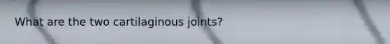 What are the two cartilaginous joints?